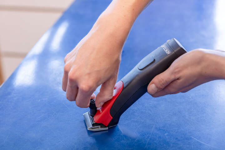 AESCULAP Akkuschermaschine Favorita CLi